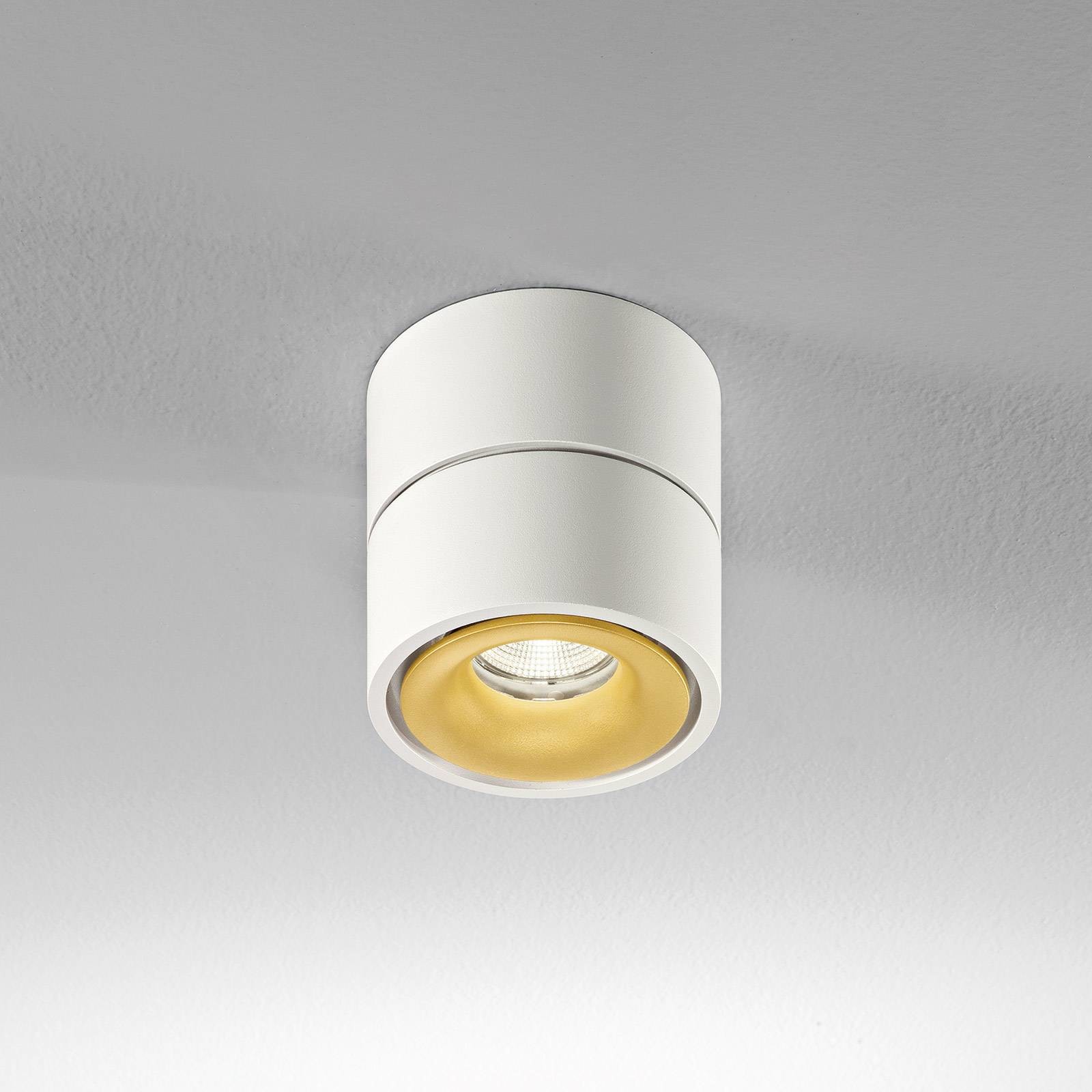 EGGER LICHT Egger Clippo spot sufitowy dim-to-warm biały/złoty