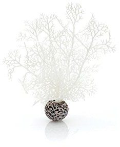 Oase HORN koralowy biała  biorb dekoracyjna roślina akwarium dekoracja, mały, biały