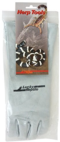 Lucky Reptile rękawice ochronne Szary ELG010
