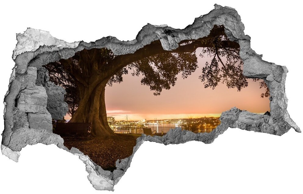 Wallmuralia.pl naklejka fototapeta 3D na ścianę Stare drzewo