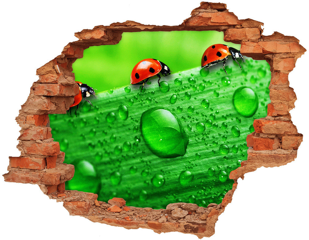 Wallmuralia.pl Dziura 3d fototapeta Biedronki na trawie