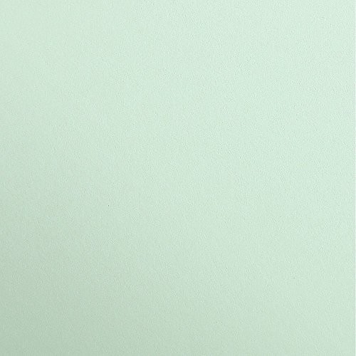 Clairefontaine 97456 °C arkuszy FOTOKARTON Pack, 25 Premium, DIN A4, 21 x 29.7 cm, 300 G, mięta 97468