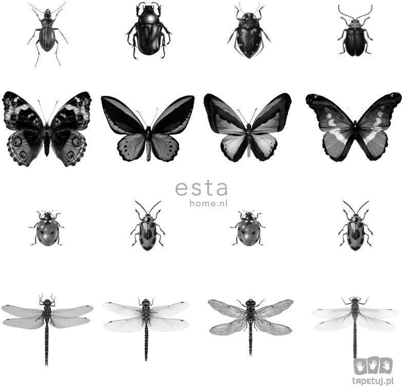 Esta Home Jungle Fever 158827 tapeta ścienna 158827