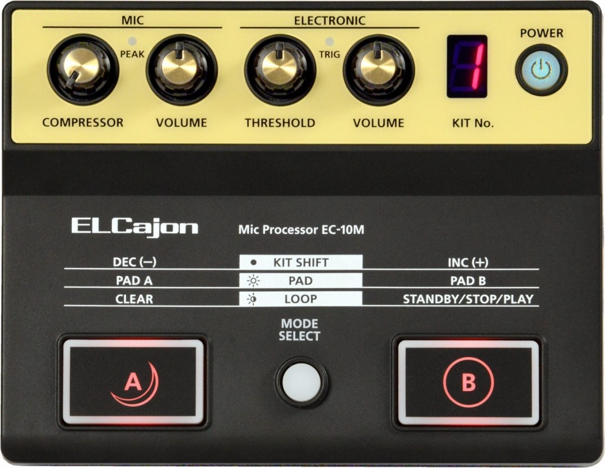 Roland EC10M Procesor do Cajona