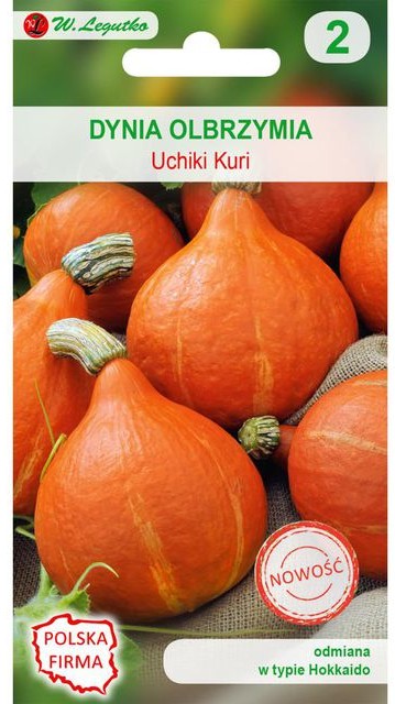 Legutko Dynia olbrzymia UCHIKI KURI