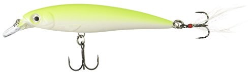 Rapala wobler X-Rap uzupełniania świeżej wody TR Brown Trout, 10 cm XR10 SFCU