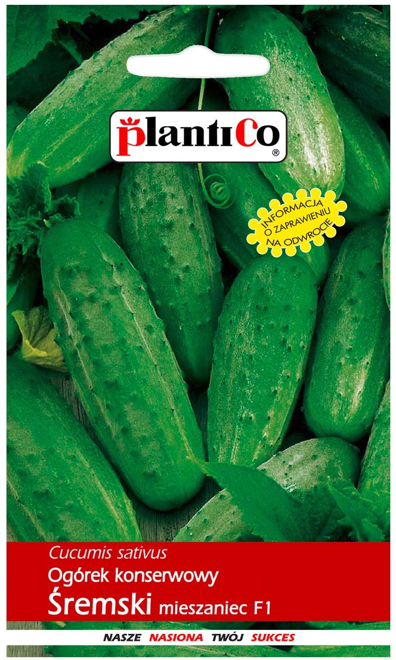 Plantico Ogórek gruntowy Śremski F1