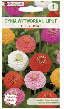Legutko W. Cynia wytworna - Liliput - mieszanka
