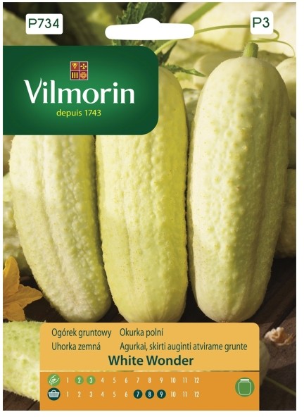 Vilmorin Nasiona ogórek White Wonder