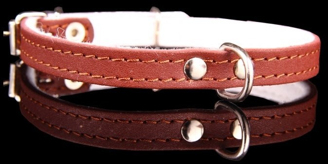 dr Seidla ZOO LESZCZ (PL) Soldina Dla Psa Skóra Naturalna 12 mm / 37 cm ZL0152 ZOO LESZCZ (PL)