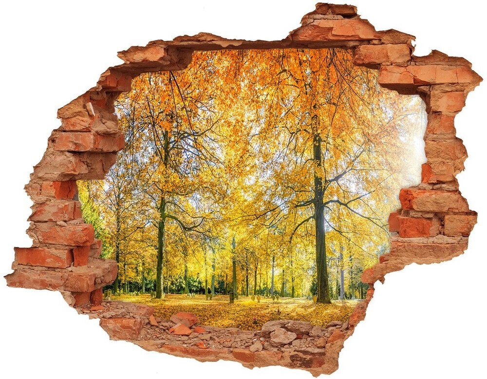 Wallmuralia.pl naklejka fototapeta 3D widok Las jesienią