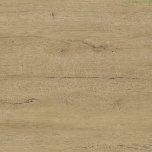 Stargres Gres Suomi Cream  60x60