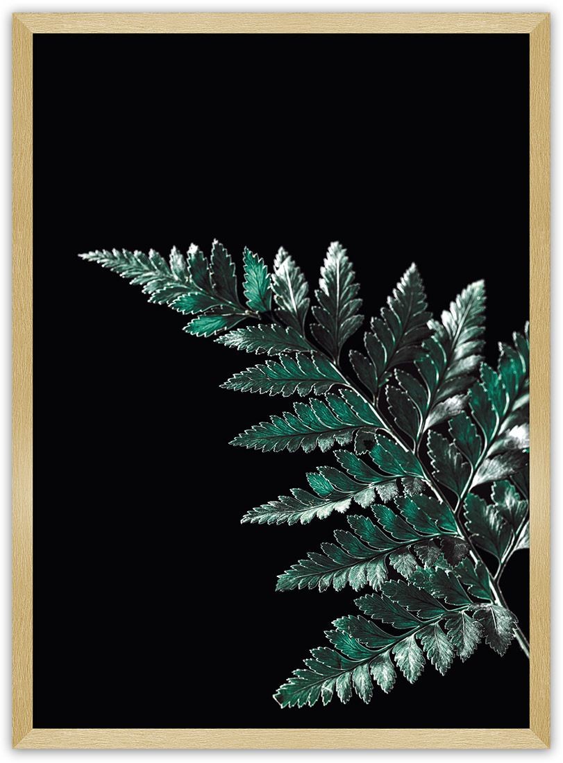Dekoria Dekoria Plakat Dark Fern Leaf 30 x 40 cm Ramka Złota 219A-000-19