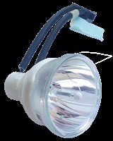 Phoenix Lampa do SHP101 - oryginalna lampa bez modułu EC.J2101.001