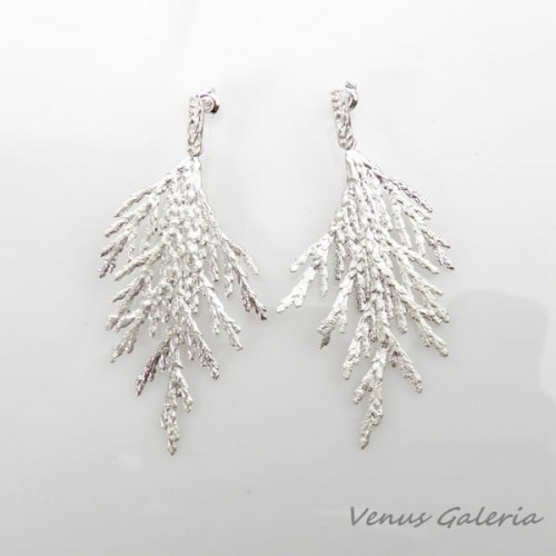 Białe tuje duże - kolczyki srebrne 2543