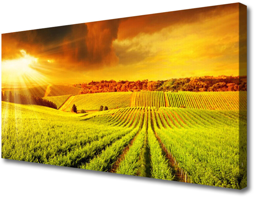 PL Tulup Obraz na Płótnie Pole Zachód Słońca Krajobraz 140x70cm
