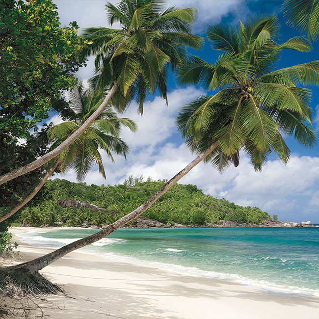 Fototapeta Seychellen 368 x 254 cm SD308