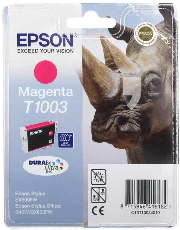 Epson C13T10034010
