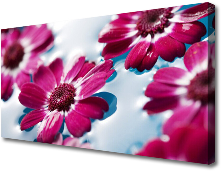 PL Tulup Obraz Canvas Kwiaty na Wodzie Natura 120x60cm