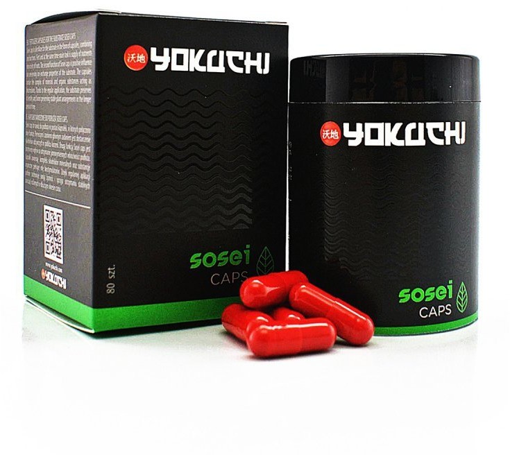 YOKUCHI SOSEI CAPS - nawóz do podłoża 80sztuk YOKUCHI SOSEI CAPS 80SZT.