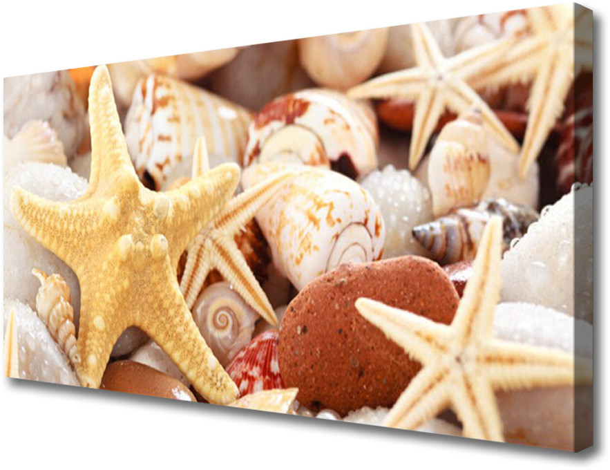 PL Tulup Obraz Canvas Rozgwiazda Muszle Plaża 100x50cm