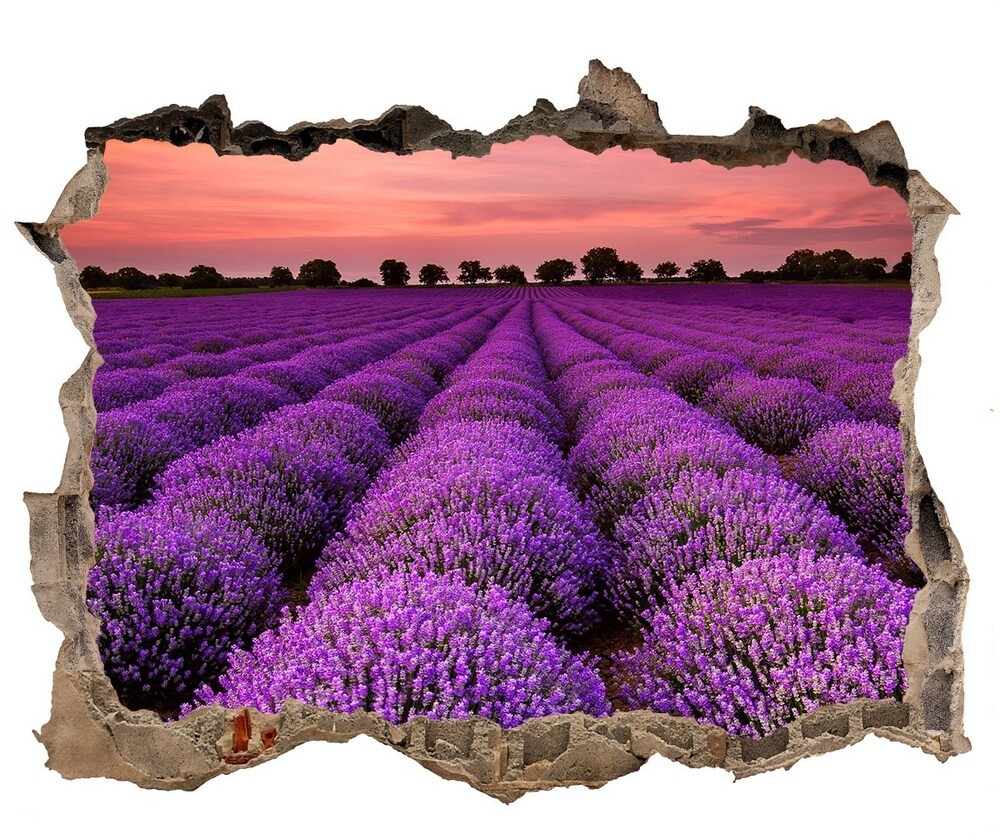 Wallmuralia.pl Samoprzylepna dziura na ścianę Pole lawendy