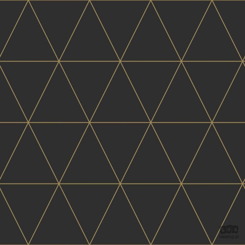 Origin Czarna tapeta z linearnym złotym geometrycznym wzorem 347684_origin