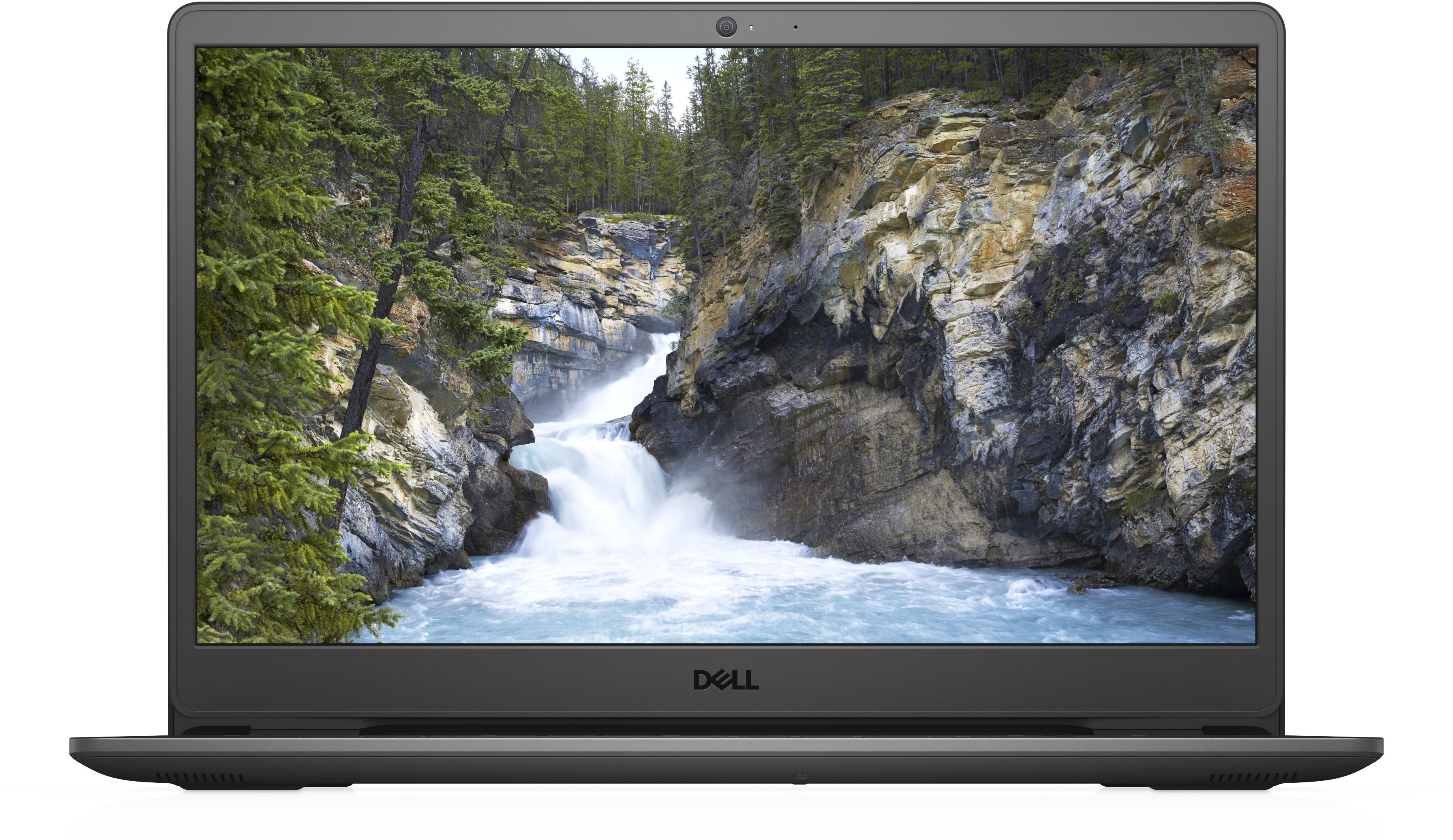 Dell Inspiron 3501 (3501-7367)