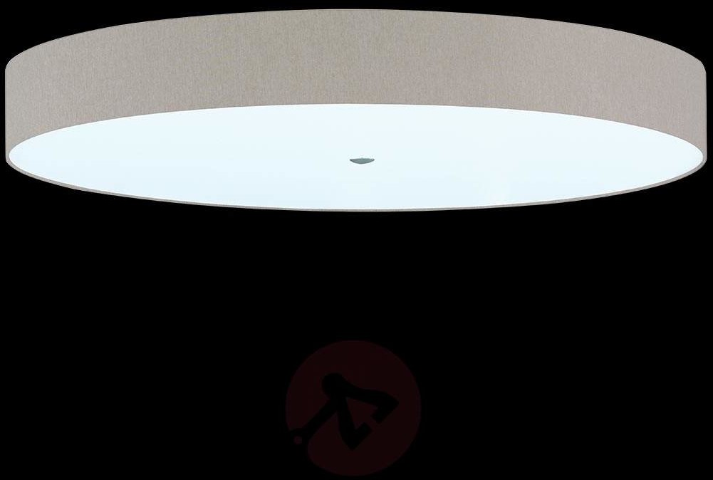Hufnagel Modna, prosta lampa sufitowa ALEA, melanż