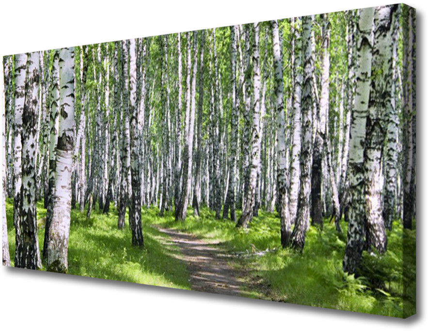 PL Tulup Obraz na Płótnie Las Ścieżka Natura Drzewa 100x50cm