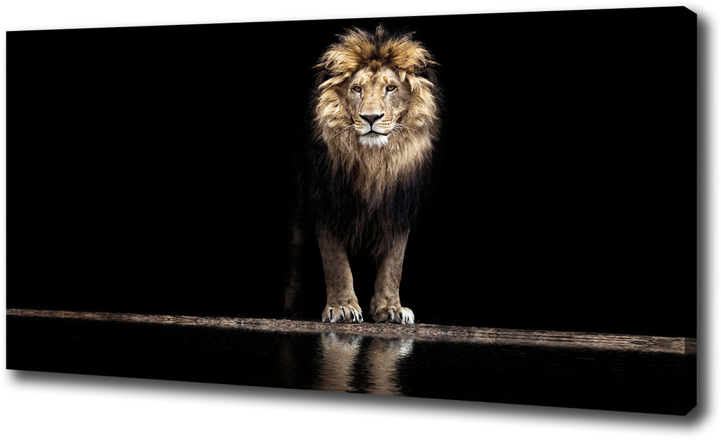Foto obraz canvas Portret lwa