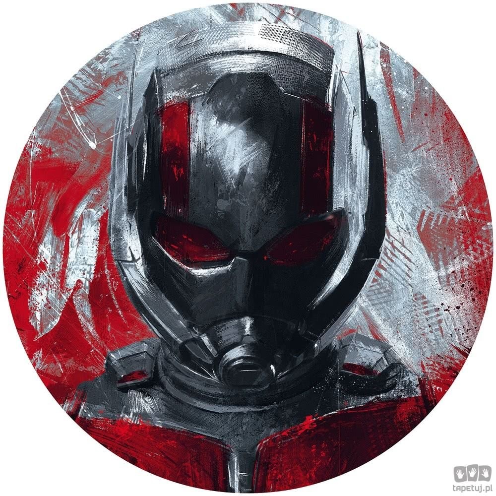 Komar Fototapeta Avengers Painting Ant-Man DD1-049 DD1-049