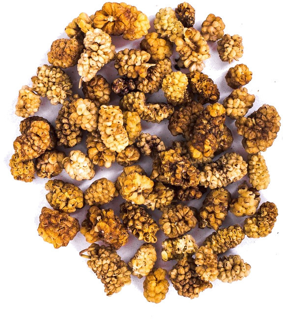 Planteon Morwa biała owoc 50g 2-0293-01-3