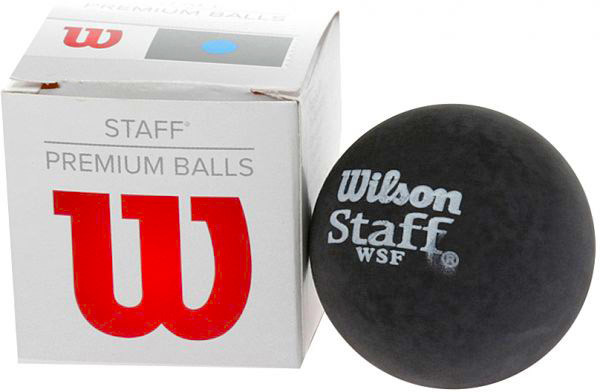 Wilson Staff Squash Ball Blue WRT617000