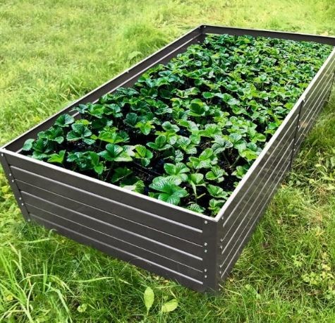 NoName Pakelta lysv KLASIKA GARDEN 75x150x30 cm dažyta milteliniu bdu 101802