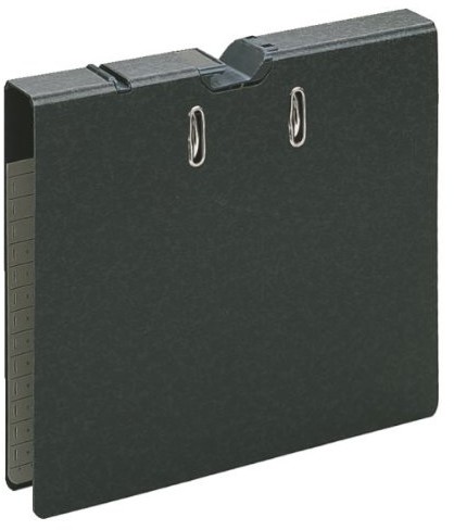 Leitz Ordner wisząca 29210000 (A4, szerokość grzbietu 5 cm, otwór pod klamkę, twarda tektura RC, wisząca na drzewcu regulowanym uchwytem wykonana z tworzywa sztucznego, Alpha Duo) czarna 20220000