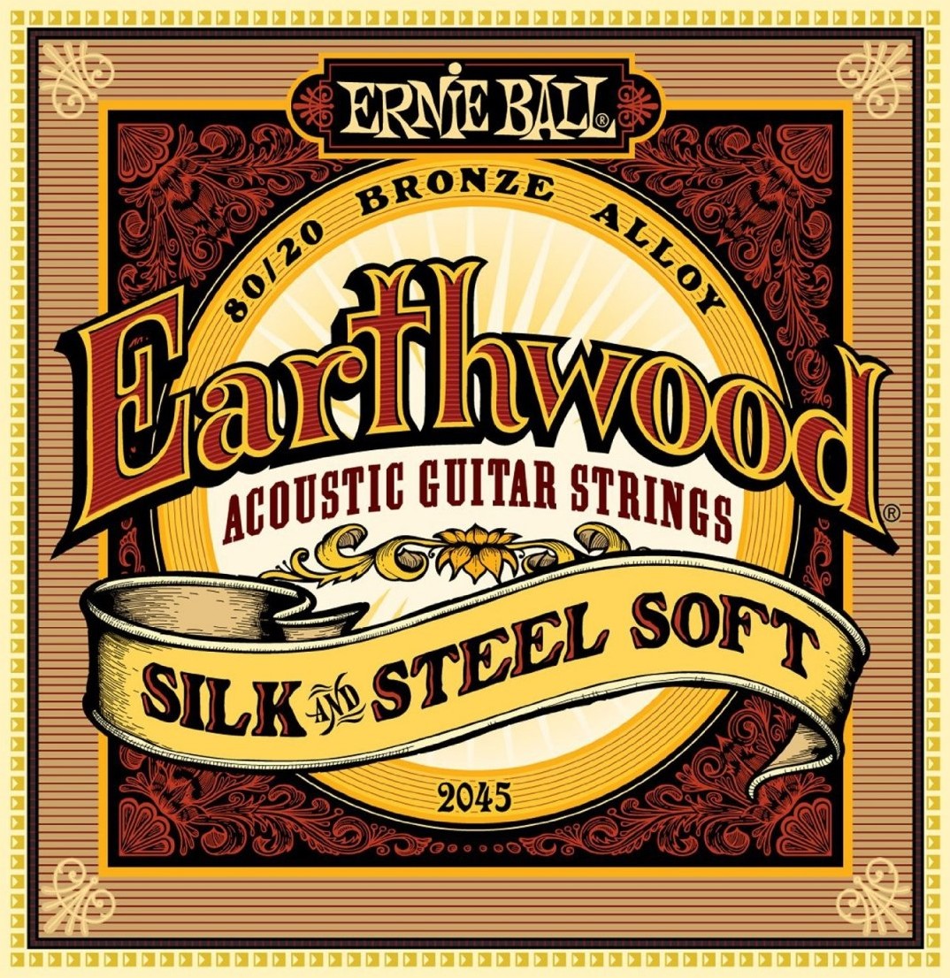 Ernie Ball earthw Silk and Steel Strings blender 2045