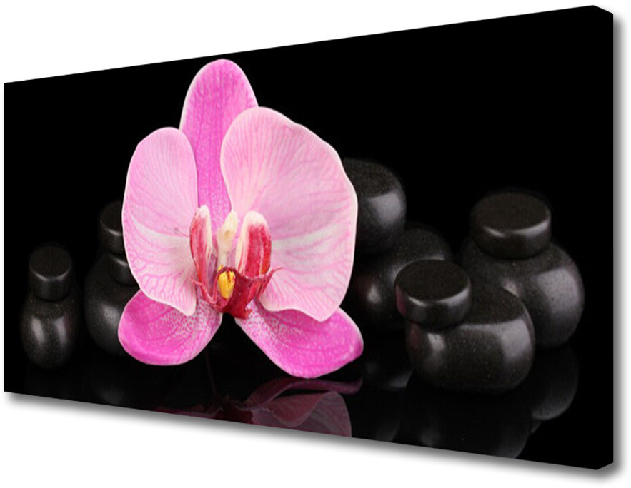 PL Tulup Obraz Canvas Kwiat Kamienie Roślina 120x60cm