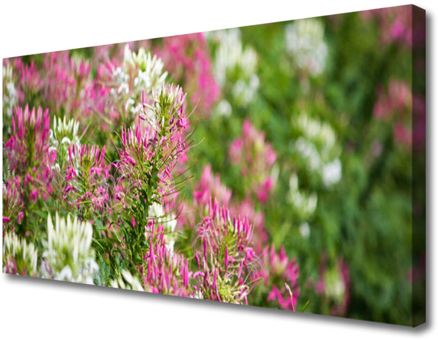 PL Tulup Obraz Canvas Kwiaty Polne Łąka Natura 125x50cm