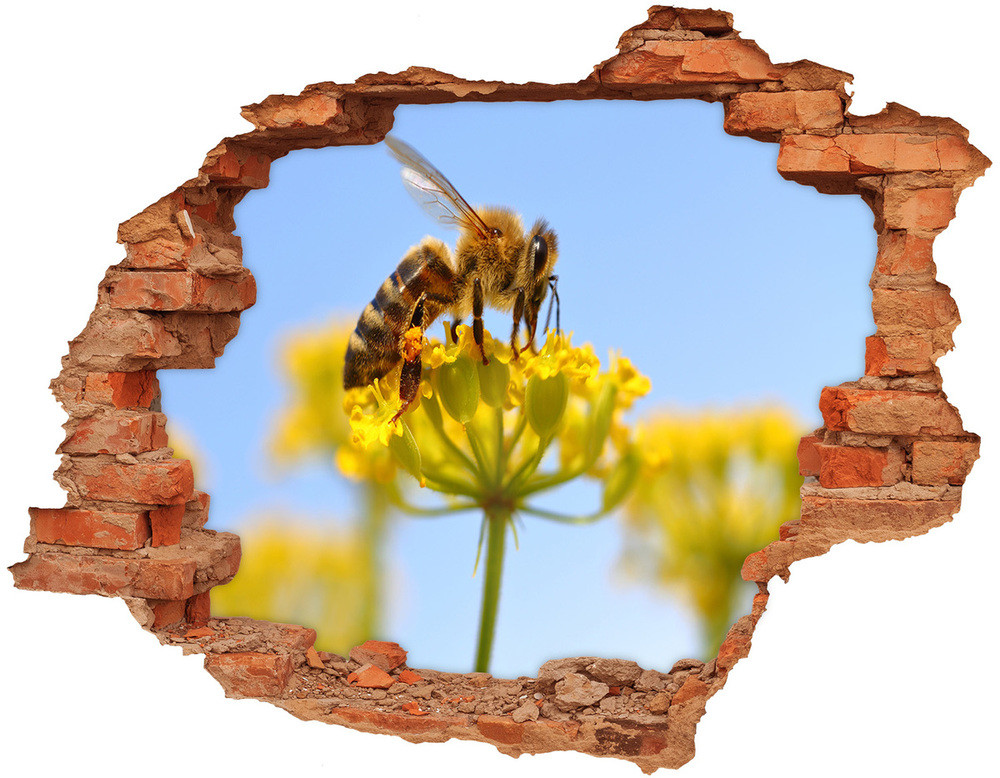Wallmuralia.pl Samoprzylepna dziura Pszczoła na kwiatku