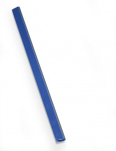 Durable Listwy wsuwane 30k przezroczyste 10 szt. 2932-19