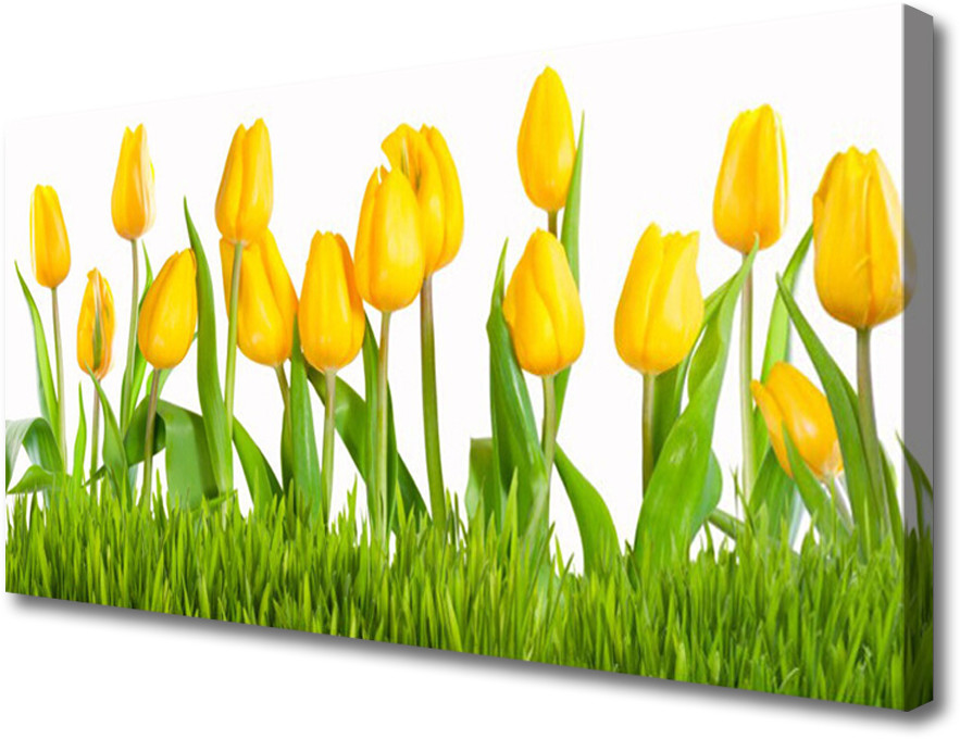 PL Tulup Obraz na Płótnie Tulipany Na Ścianę 120x60cm