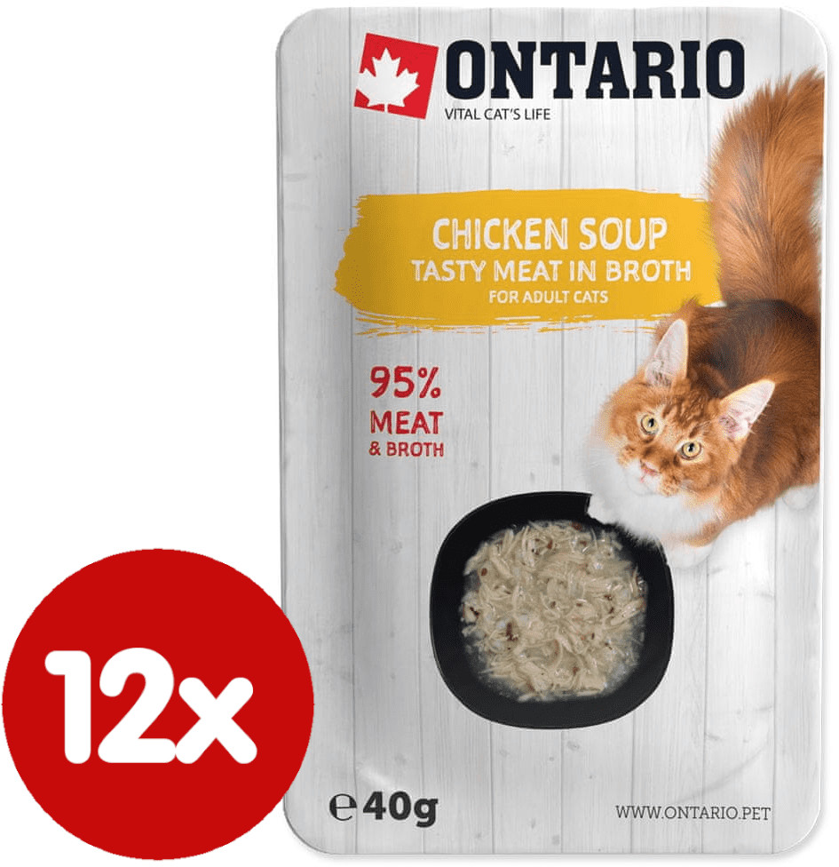 Ontario mokra karma dla kota Cat Soup Chicken with vegetables 12x40 g