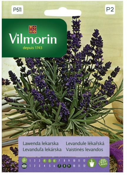 Vilmorin Nasiona lawenda