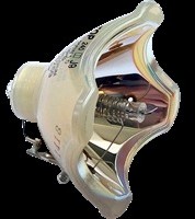 Philips Lampa do UHP 200/150W 1.0 P19.5 - oryginalna lampa bez modułu UHP 200/150W 1.0 P19.5