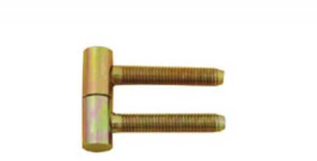 Pol-soft Zawiasa wkręcana 12,5x40 ocynk złoty A62-00-00/C