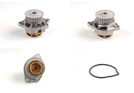 HEPU Pompa wodna P541