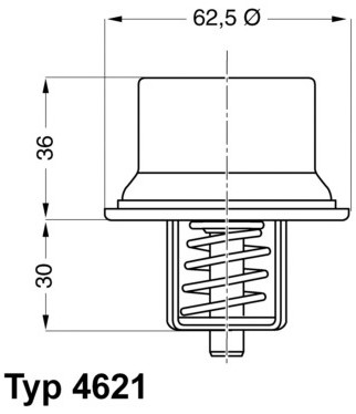 Wahler Termostat ukadu chodzenia 4621.80D