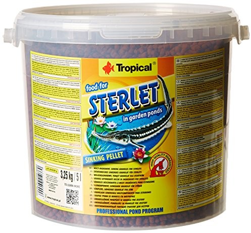 Tropical sterlet (sygnał podszewka), 1er Pack (1 X 5 L)