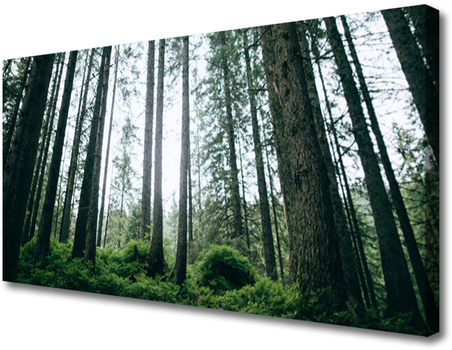 PL Tulup Obraz na Płótnie Las Natura Drzewa 125x50cm